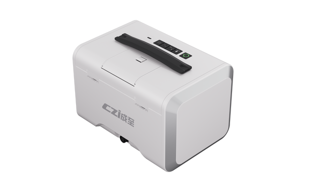 CZI CZI CZ10
