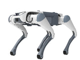 Deep Robotics Basic DEEP Robotics Lite3 Series