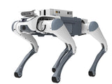 Deep Robotics Pro DEEP Robotics Lite3 Series