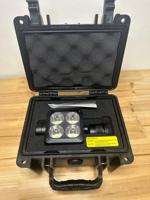 Descriptive image text